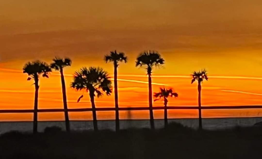 Shores Of Panama 2330 - 1 Bedroom Bunk Area Sleeps 6, Beautiful Direct View! Free Fun! Apartment Panama City Beach